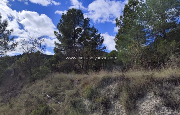 Wiederverkauf - Land - Moratalla