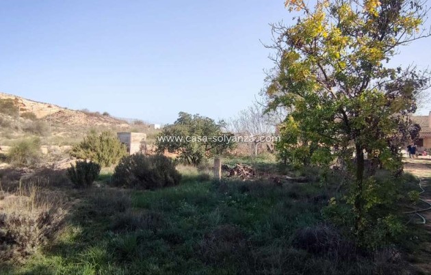 Resale - Country Property/Finca - Pinoso - Inland