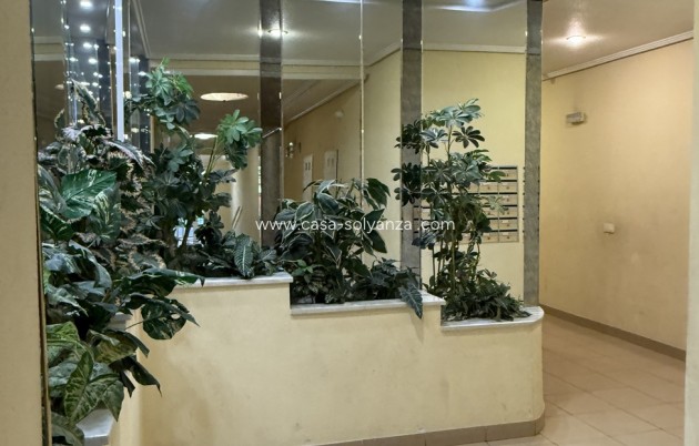 Wiederverkauf - Wohnung - Torrevieja - Costa Blanca