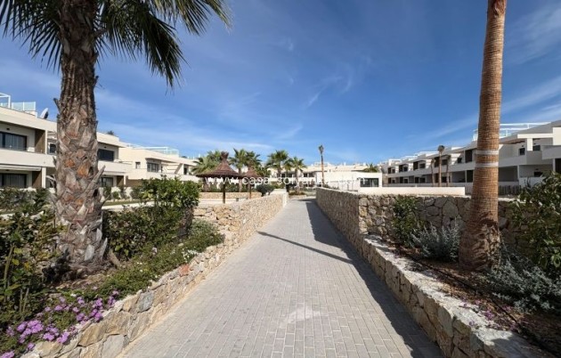 Reventa - Apartamento / piso - Torrevieja