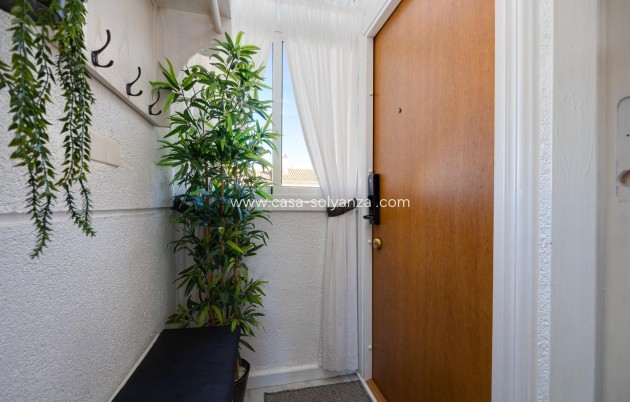 Reventa - Bungalow - Torrevieja - El Molino