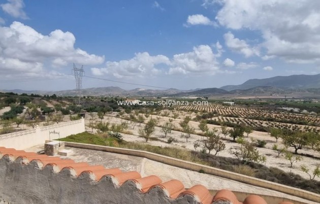 Resale - Country Property/Finca - Hondón de las Nieves - Inland