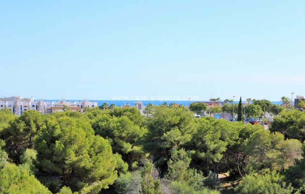 Herverkoop - Villa - Playa Flamenca