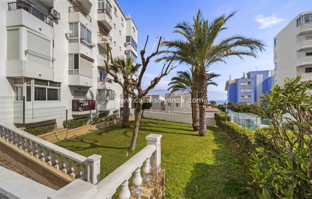 Reventa - Apartamento / piso - Torrevieja - Torreblanca