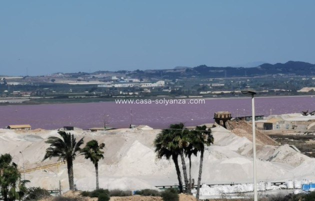 Herverkoop - Appartement / flat - Torrevieja - Acequion