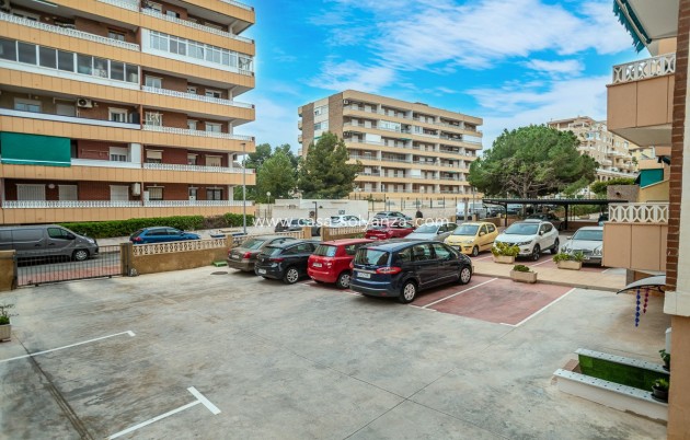 Reventa - Apartamento / piso - Torrevieja - Punta Prima