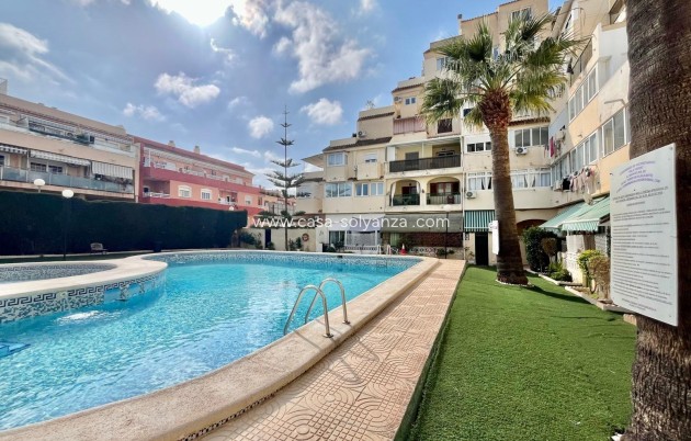 Wiederverkauf - Wohnung - Torrevieja - Nueva Torrevieja