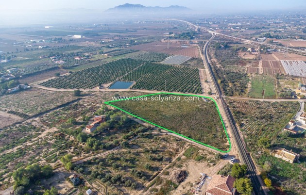 Resale - Land - Crevillente - Comunidad Valenciana