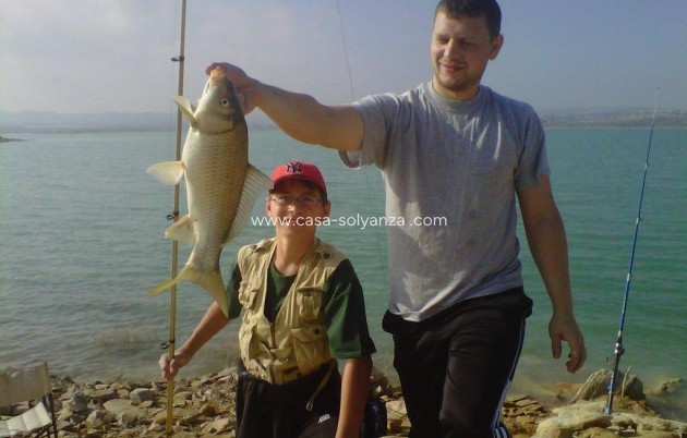 Revente - country estate - Orihuela - Torremendo