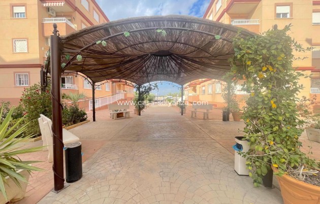 Herverkoop - Appartement / flat - Algorfa