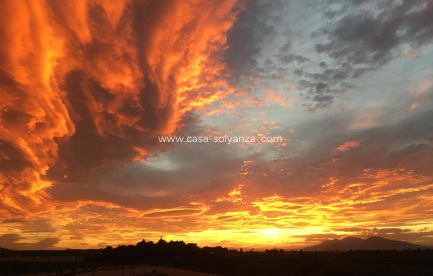 Herverkoop - Appartement / flat - Algorfa