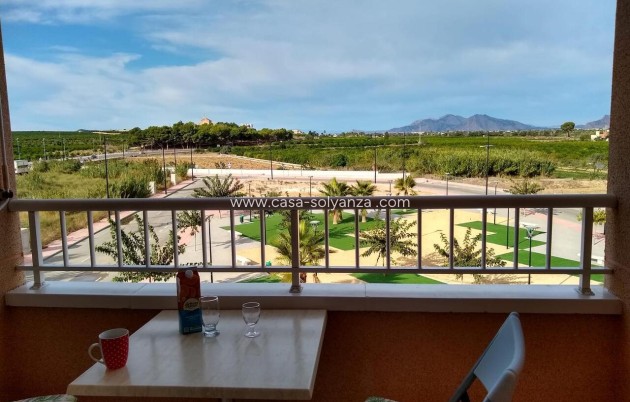 Herverkoop - Appartement / flat - Algorfa