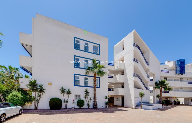 Herverkoop - Appartement / flat - Orihuela Costa