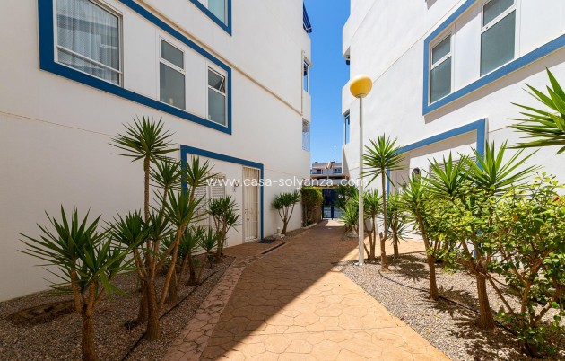 Herverkoop - Appartement / flat - Orihuela Costa