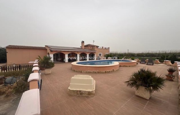 Reventa - Country Property/Finca - Dolores - Comunidad Valenciana