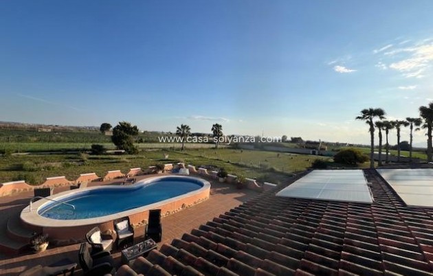 Reventa - Country Property/Finca - Dolores - Comunidad Valenciana