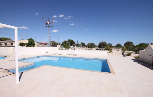 Resale - Country Property/Finca - Crevillente - Inland