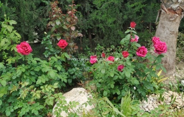 Resale - Country Property/Finca - Crevillente - Inland