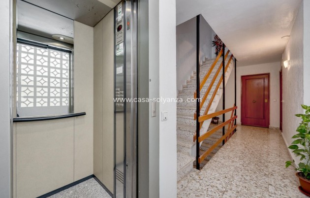 Resale - Apartment / flat - Torrevieja - Center