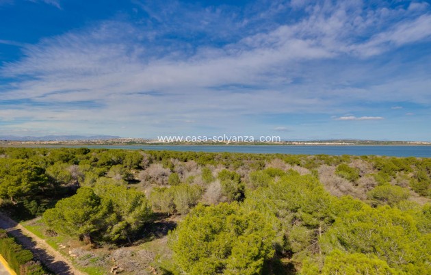 Resale - Apartment / flat - Torrevieja - San Luis