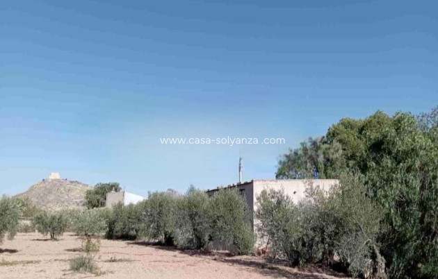 Revente - Villa - Jumilla - Inland
