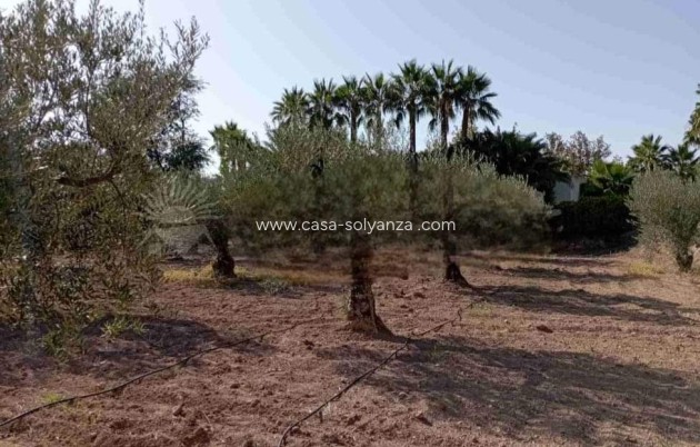 Revente - Villa - Jumilla - Inland
