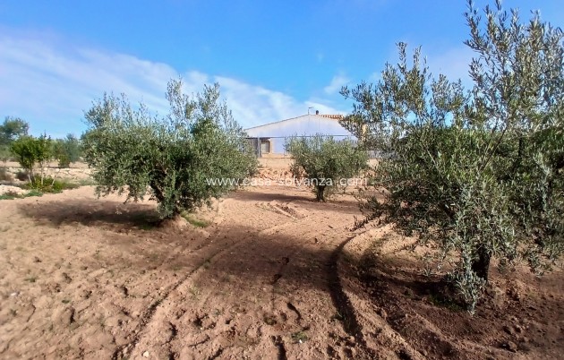 Resale - Country Property/Finca - Jumilla - Inland