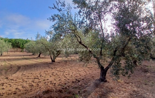 Resale - Country Property/Finca - Jumilla - Inland