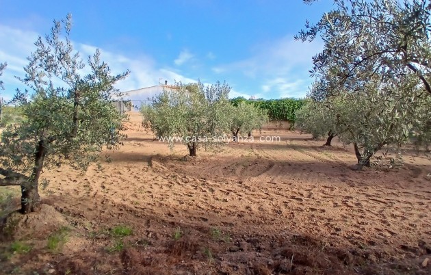 Resale - Country Property/Finca - Jumilla - Inland