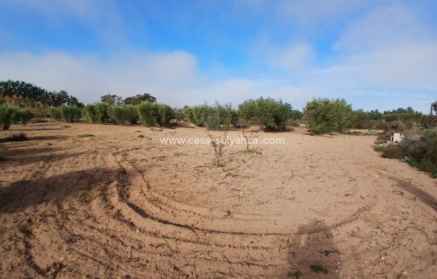 Resale - Country Property/Finca - Jumilla - Inland