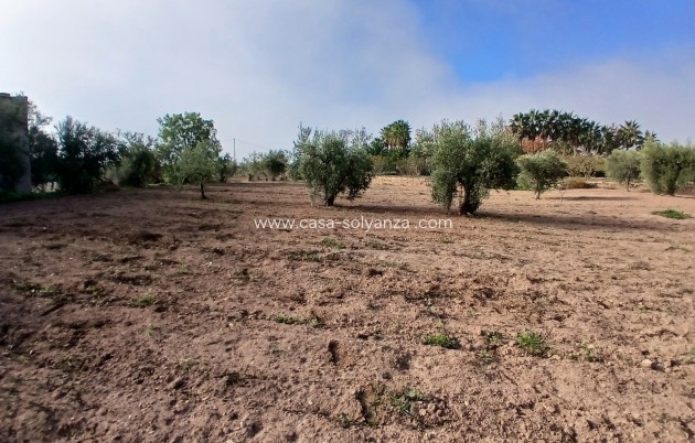 Resale - Country Property/Finca - Jumilla - Inland