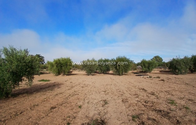 Resale - Country Property/Finca - Jumilla - Inland