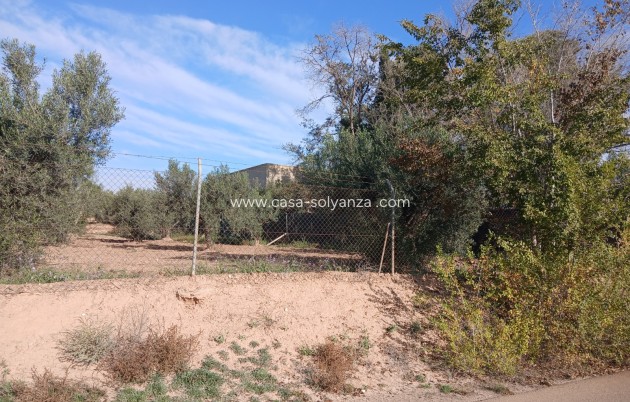Resale - Country Property/Finca - Jumilla - Inland