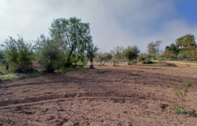 Resale - Country Property/Finca - Jumilla - Inland