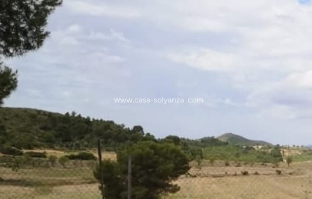 Wiederverkauf - Finca - Country Property - Caudete