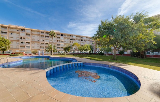 Resale - Apartment / flat - Torrevieja - Parque Las Naciones