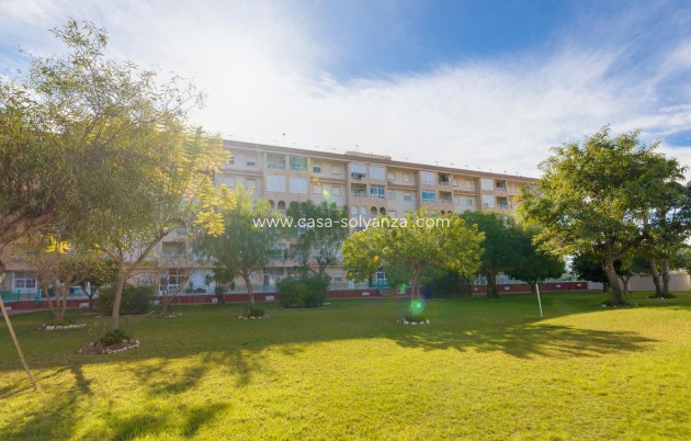 Resale - Apartment / flat - Torrevieja - Parque Las Naciones