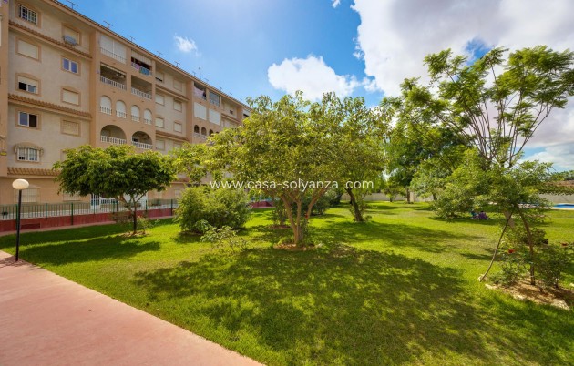 Resale - Apartment / flat - Torrevieja - Parque Las Naciones