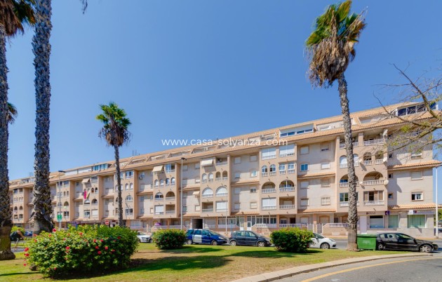 Resale - Apartment / flat - Torrevieja - Parque Las Naciones