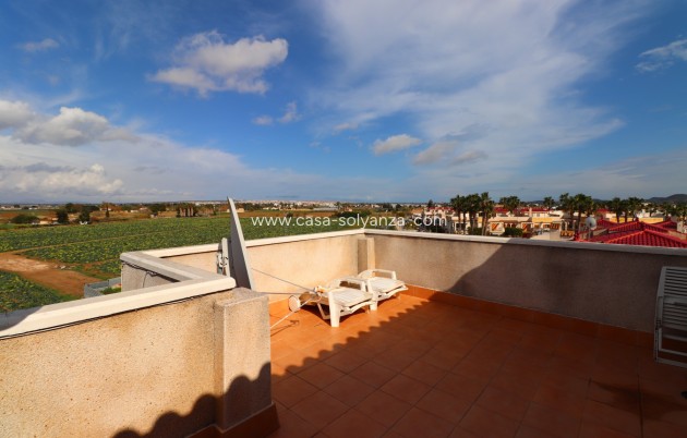 Herverkoop - Appartement / flat - Daya Vieja - Daya Vieja - Town