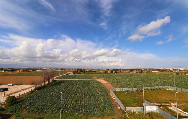 Herverkoop - Appartement / flat - Daya Vieja - Daya Vieja - Town