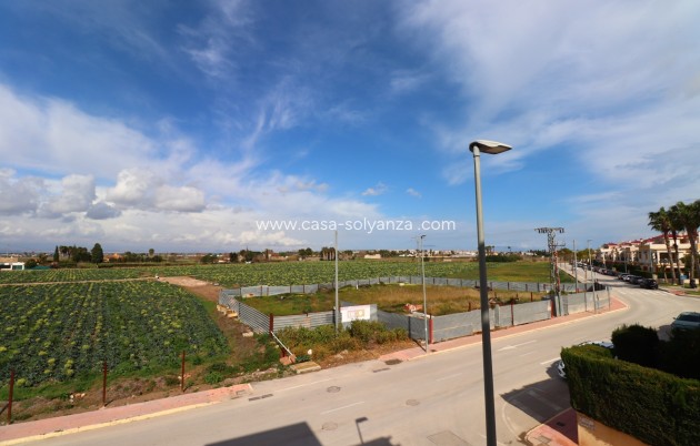 Herverkoop - Appartement / flat - Daya Vieja - Daya Vieja - Town