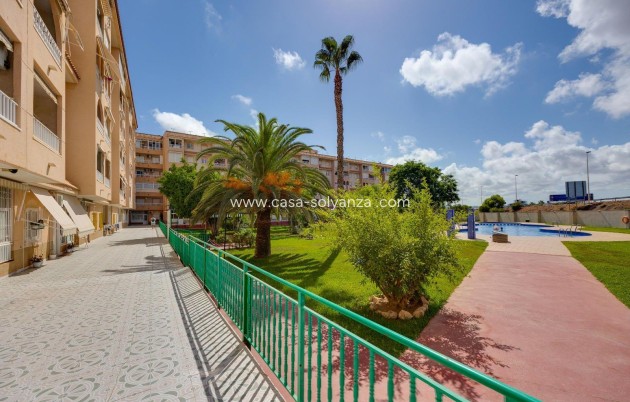 Resale - Apartment / flat - Torrevieja - Center