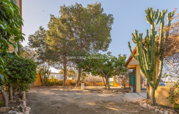 Resale - Villa - Los Montesinos