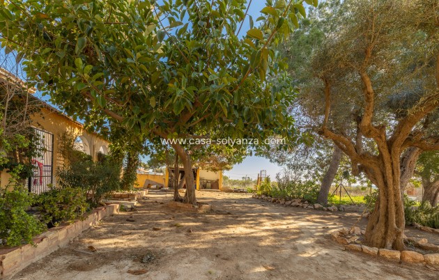 Resale - Villa - Los Montesinos