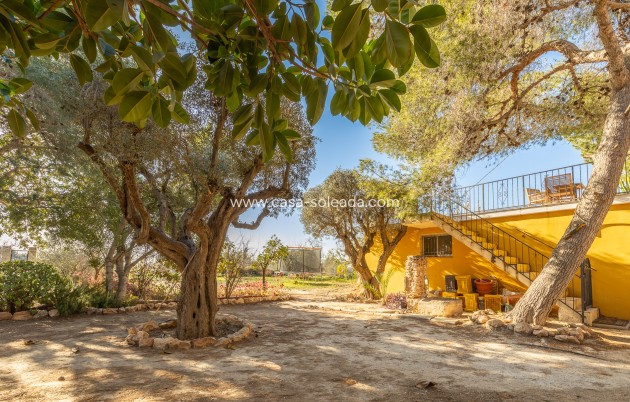 Resale - Villa - Los Montesinos