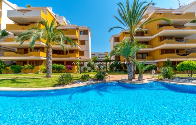 Herverkoop - Appartement / flat - Punta Prima