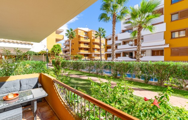 Herverkoop - Appartement / flat - Punta Prima