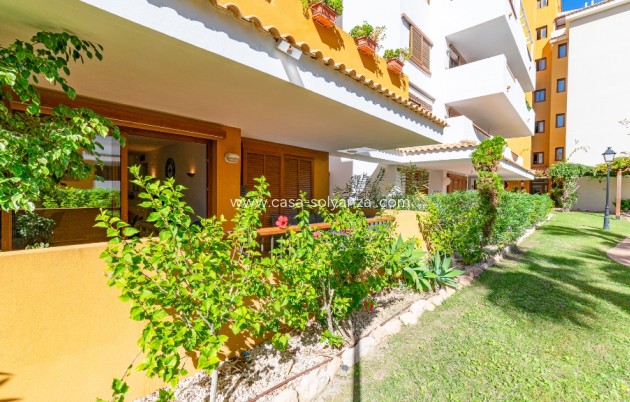 Herverkoop - Appartement / flat - Punta Prima