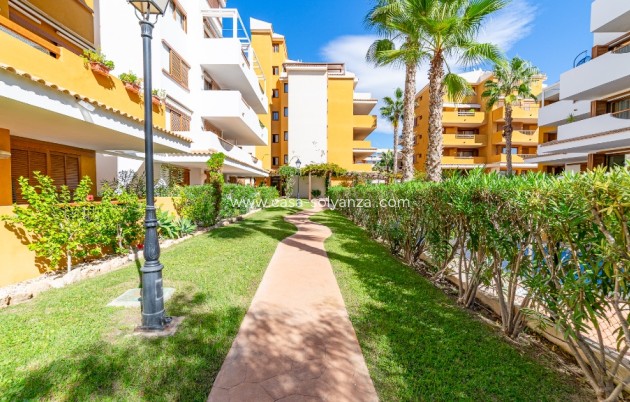 Herverkoop - Appartement / flat - Punta Prima